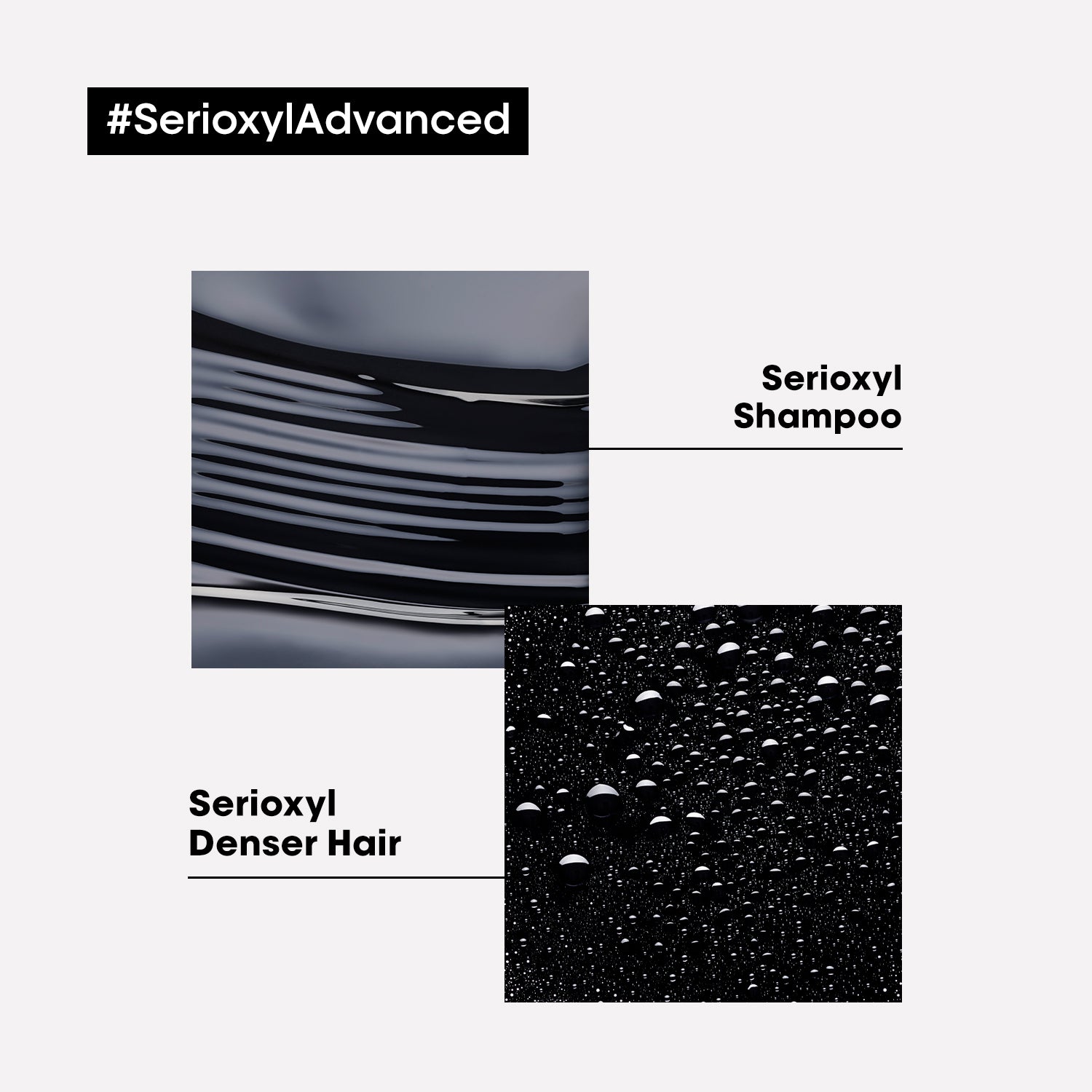 L’Oreal Serie Expert Serioxyl Shampoo – Für Feines Haar, 300 Ml, Mit Magnesiumsulfat